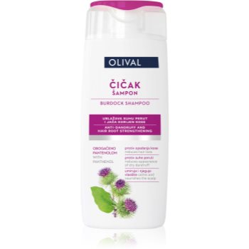 Olival Treatment Burdock șampon pentru păr uscat și deteriorat - imagine 2